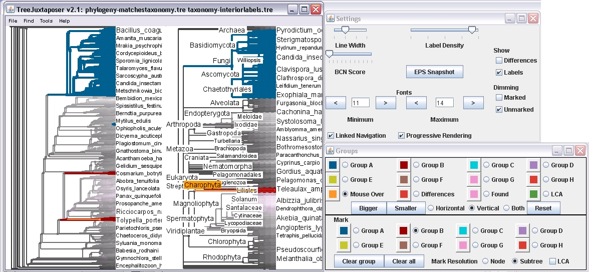 TJ phylo vs. taxonomy picture